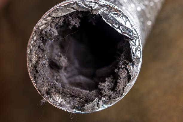 Best Best Air Duct Cleaning Company  in USA